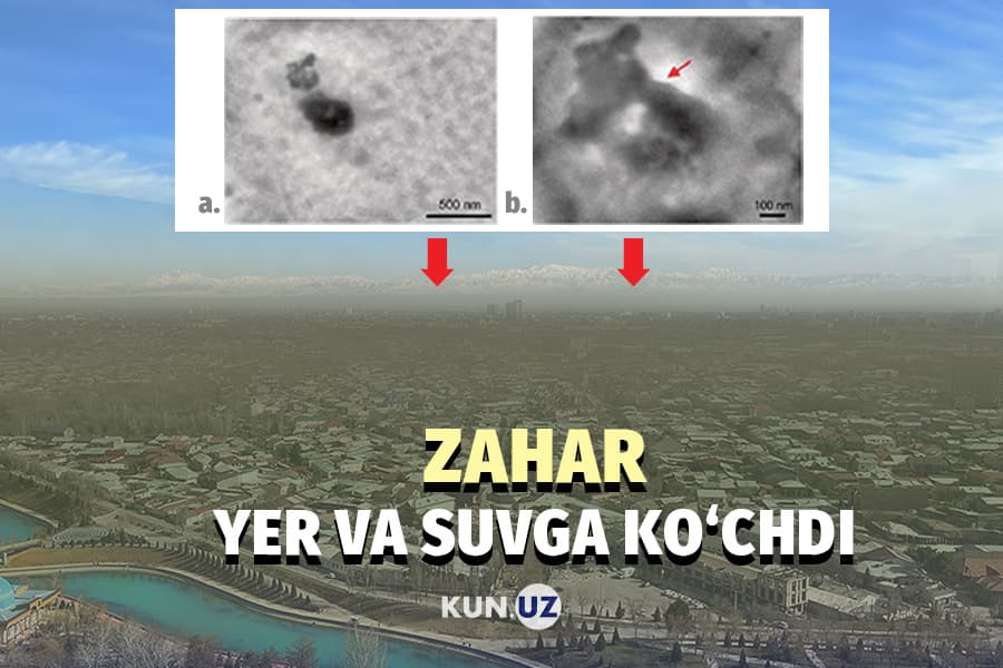 Yomg‘irlar havoni tozaladi – endi tuproq va suv zaharlanadi(mi?)