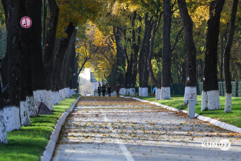 Dam olish kunlari uchun ob-havo prognozi berildi