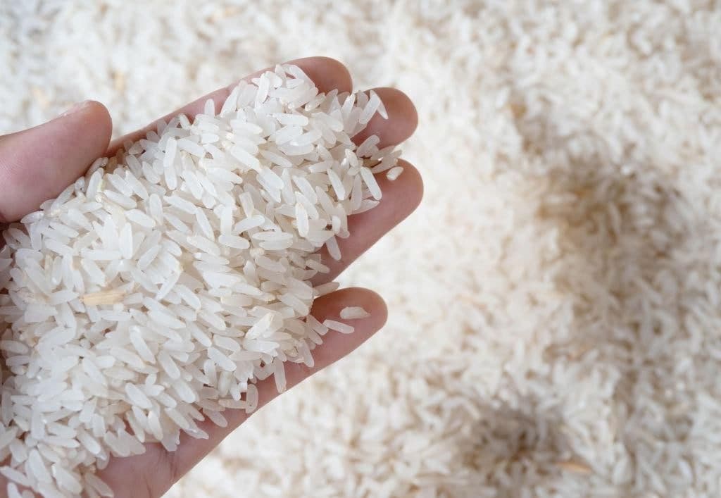 Tajikistan remains top buyer as Uzbekistan exports 1.2 thousand tons of rice in Q1