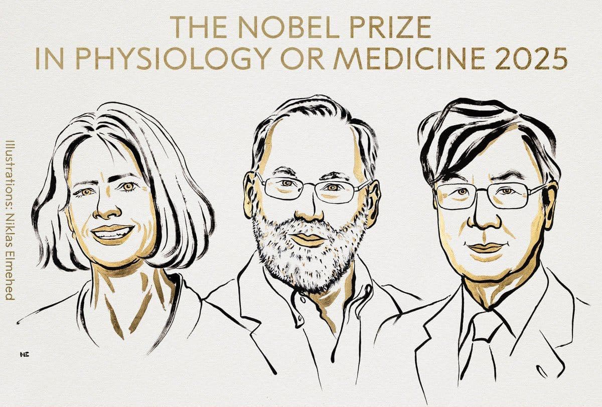Tibbiyot bo‘yicha Nobel mukofoti immunitet sohasidagi kashfiyotlar uchun berildi