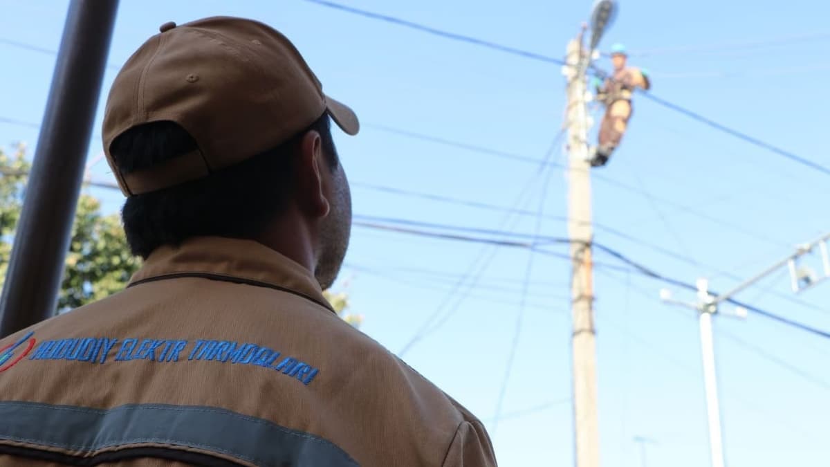 Energy Minister fires 44 local grid heads following critical performance review