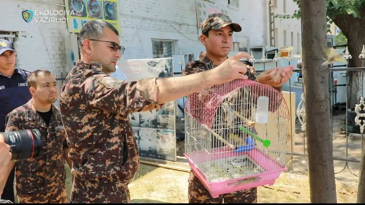 So‘nggi 2,5 yilda tabiatga salkam 1 trln so‘m zarar yetkazildi