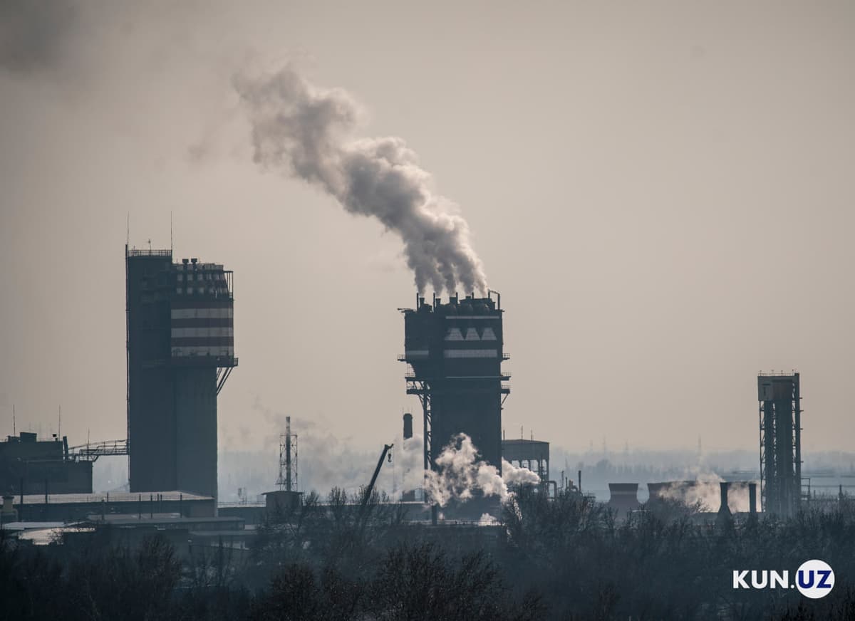 Предприятия в Узбекистане будут поощрять за снижение вреда природе