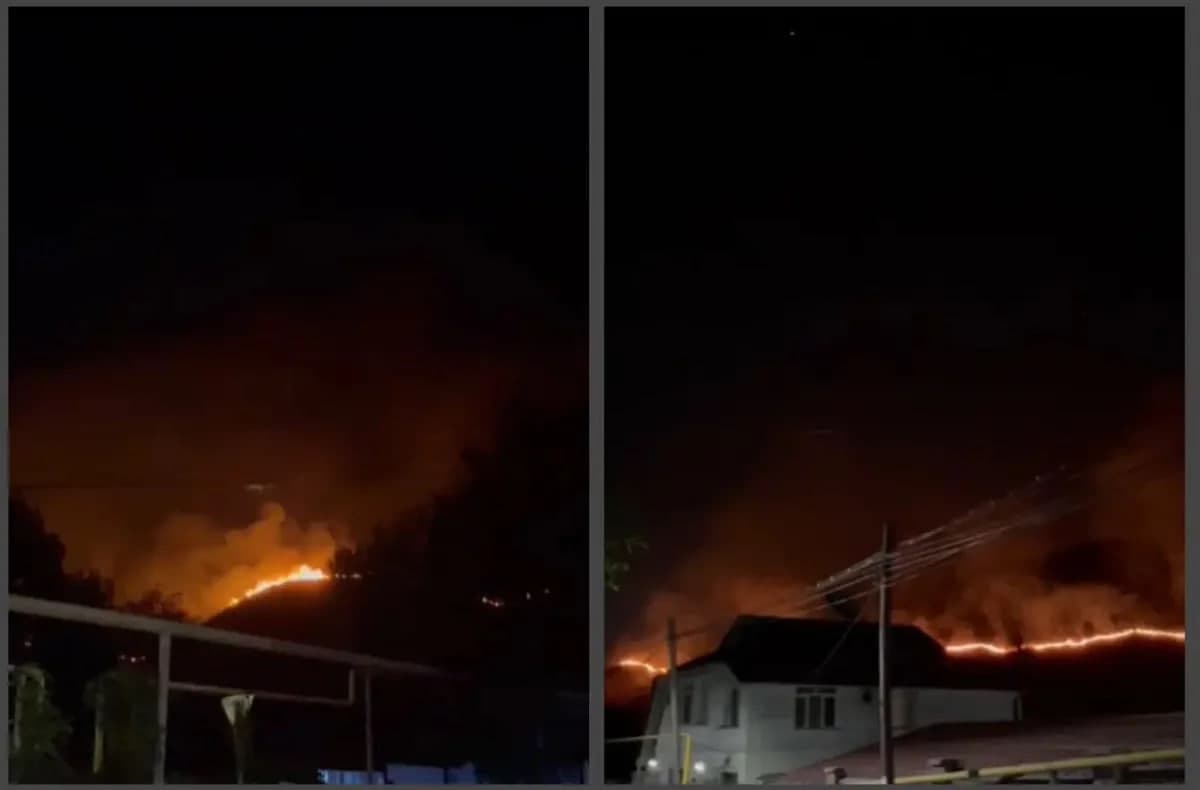 Qozog‘iston janubida 40 gektar maydonda yuz bergan yong‘in o‘chirildi