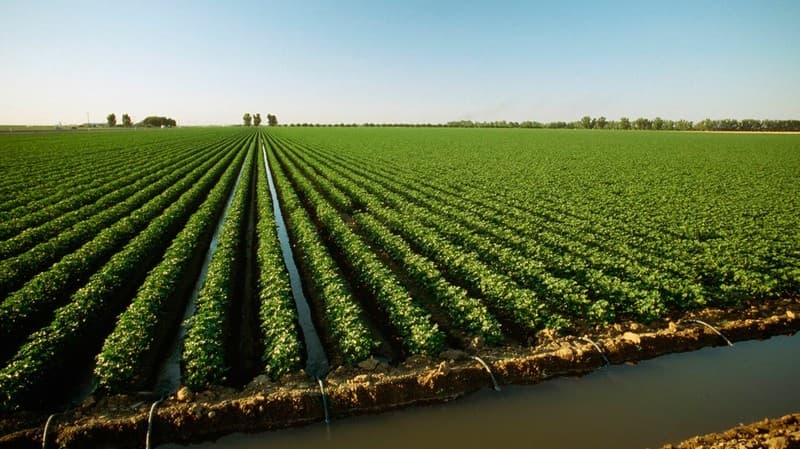 Irrigatsiya tarmoqlarini ta’mirlash uchun yiliga kamida 1,3 trillion so‘m ajratiladi