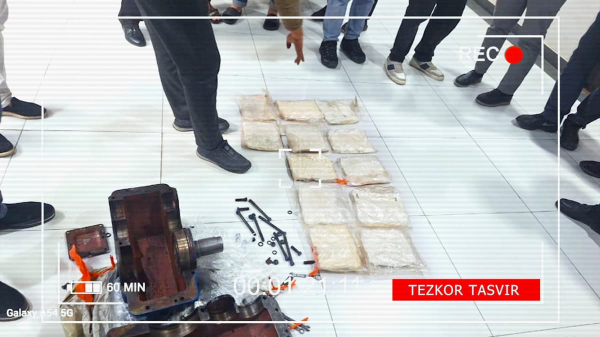 Toshkent viloyatida o‘n bir oyda yarim tonnadan ortiq giyohvandlik vositalari noqonuniy muomaladan olindi