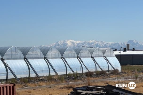 Government to impose fines for burning tires and fuel oil in greenhouses