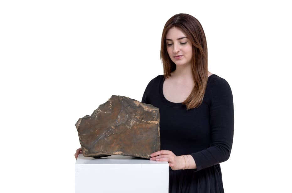 AQShda Marsdan tushgan meteorit auksion orqali sotuvga qo‘yiladi
