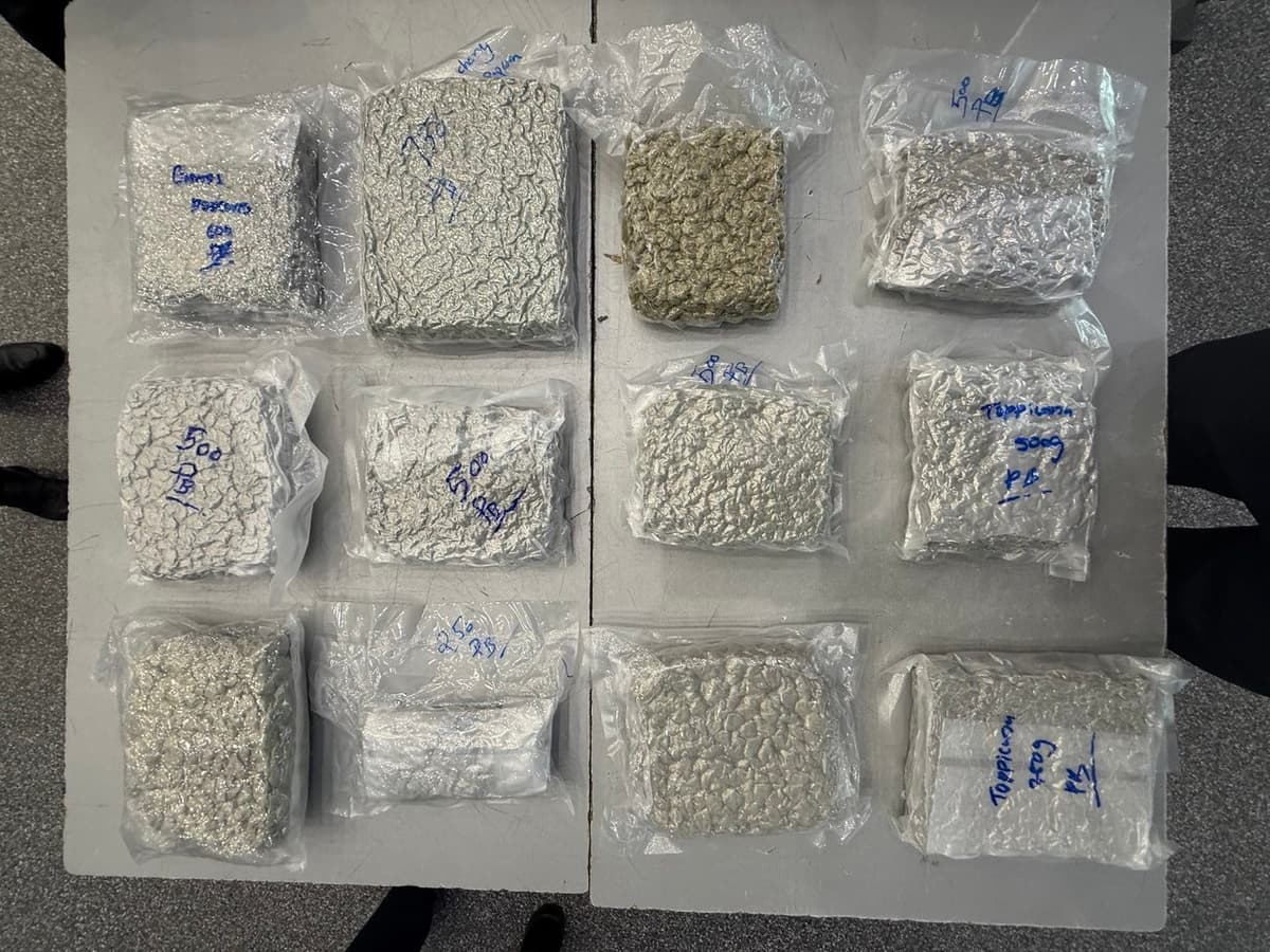 Thai passenger detained at Tashkent airport with over 6 kg of marijuana