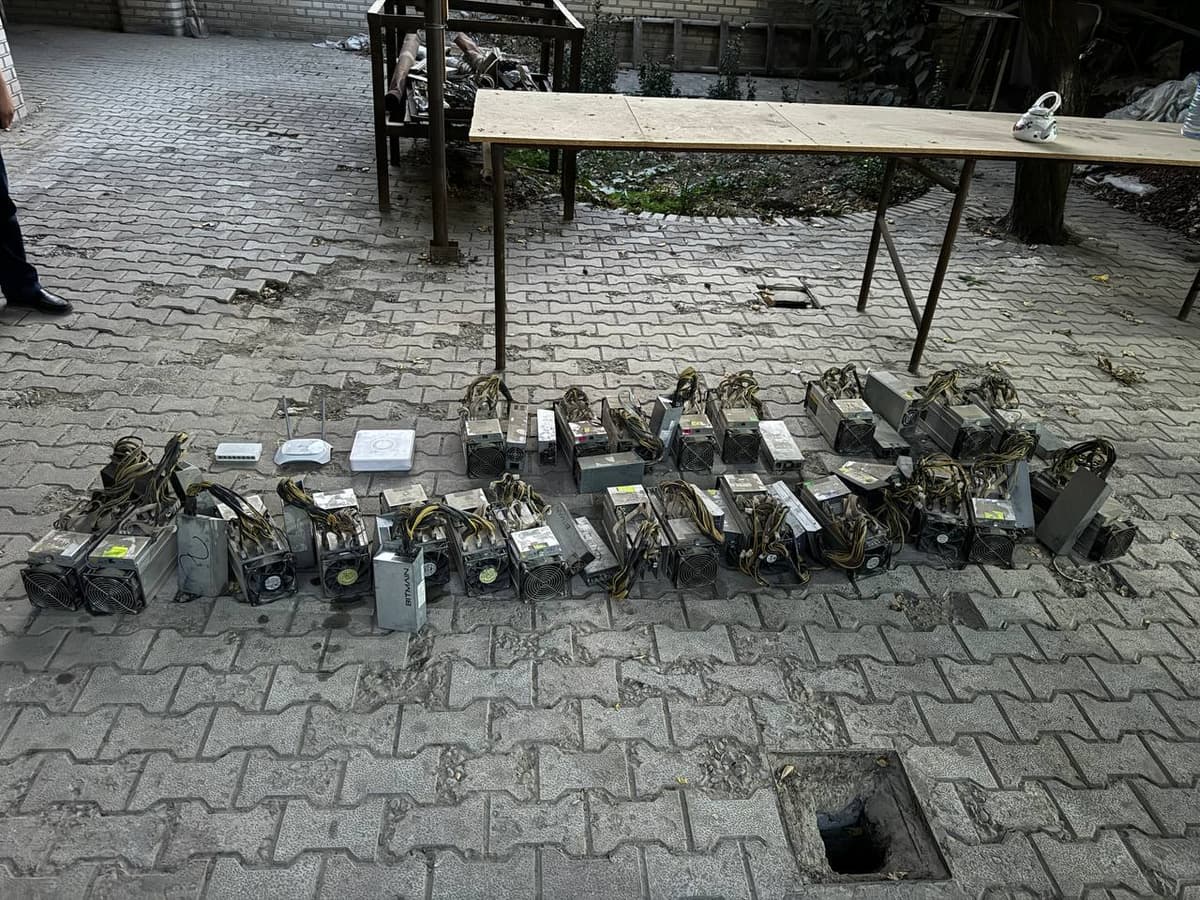 Samarqandda 1,8 mlrd so‘mlik elektr energiyasini talon-toroj qilgan mayning ferma aniqlandi
