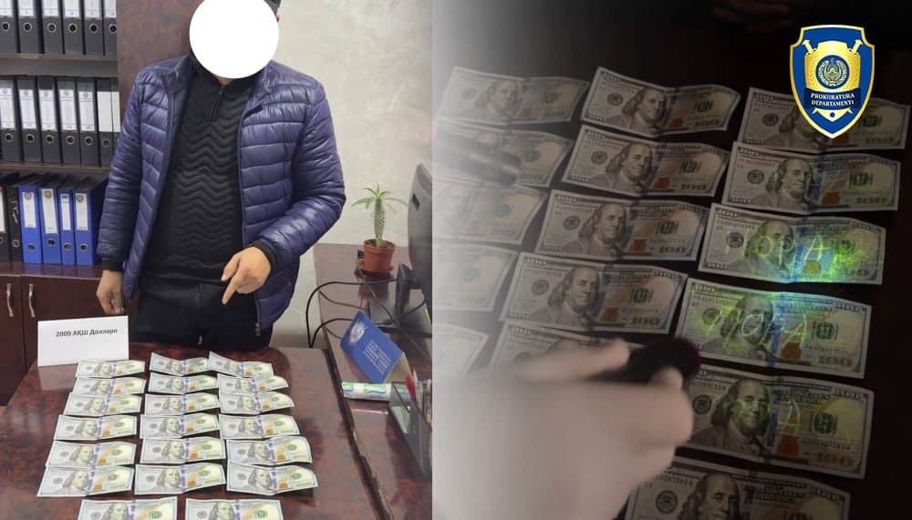 28 mln so‘mlik jarimani “yo‘q qilib berish”ni va’da qilgan yuriskonsult ushlandi