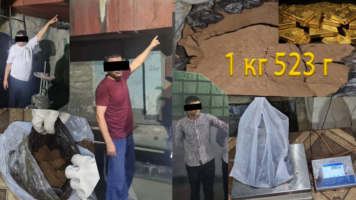 Navoiyda ventilyatsiya tarmog‘i orqali oltin o‘g‘irlamoqchi bo‘lgan shaxslar ushlandi