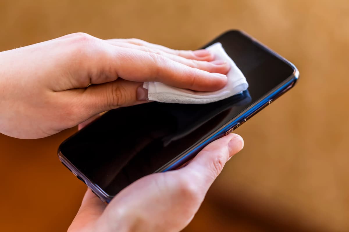 Telefonda qanday bakteriyalar yashaydi?