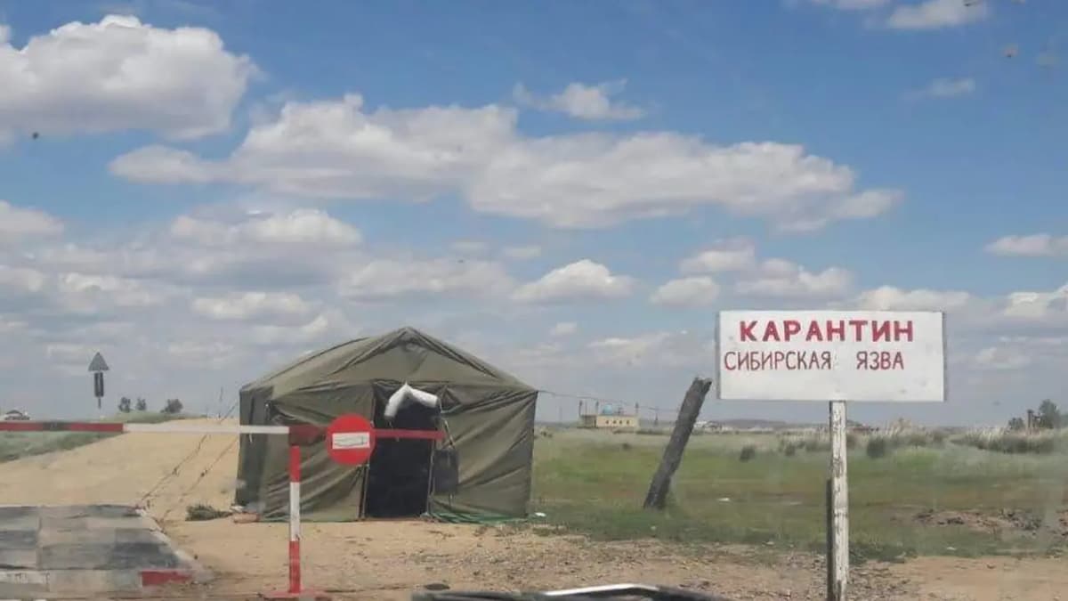 Qozog‘istonda kuydirgi tarqaldi, ikki qishloq karantinga olindi