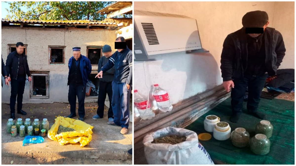 Toshkent viloyatida 12 kilogramm giyohvand modda musodara qilindi