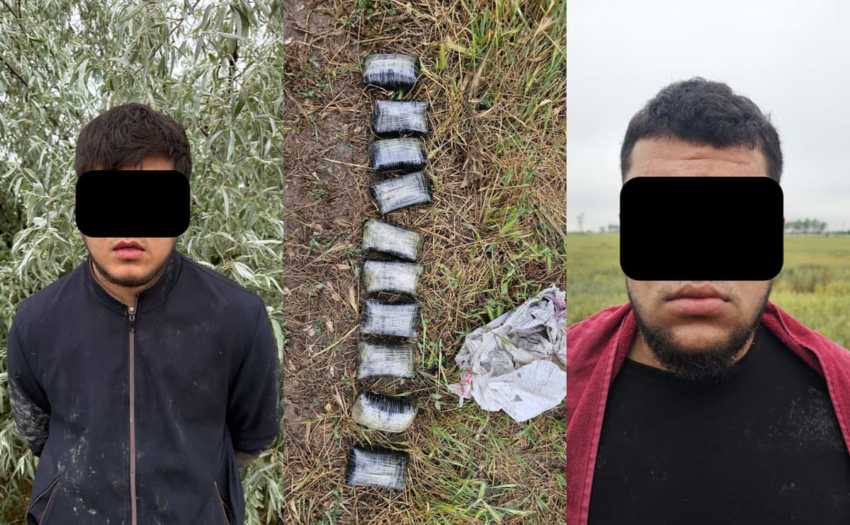 Toshkent viloyatida 5 kilodan ortiq “opiy” musodara qilindi