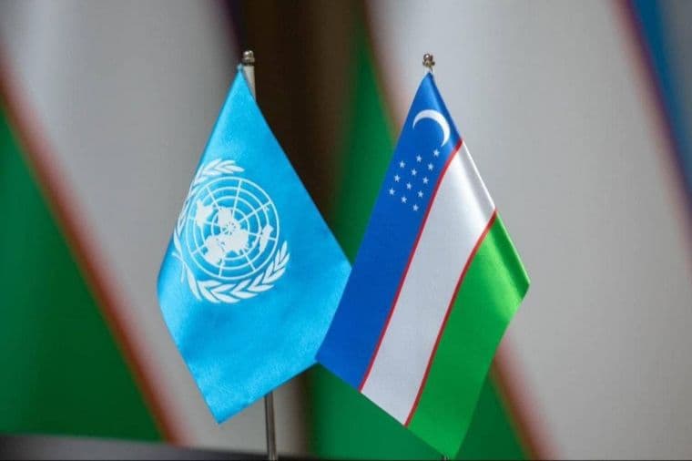 BMT murojaatlarini ko‘rib chiqishning aniq mexanizmi joriy etildi