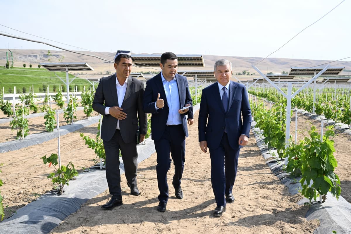 Shavkat Mirziyoyev Farg‘ona viloyatida qishloq xo‘jaligi va sanoat korxonalari faoliyati bilan tanishdi