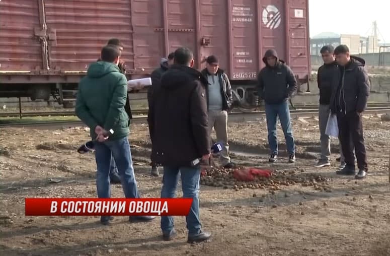 Qozog‘istonning 43 vagon kartoshkasi O‘zbekiston chegarasida chirib ketgani ma’lum bo‘ldi