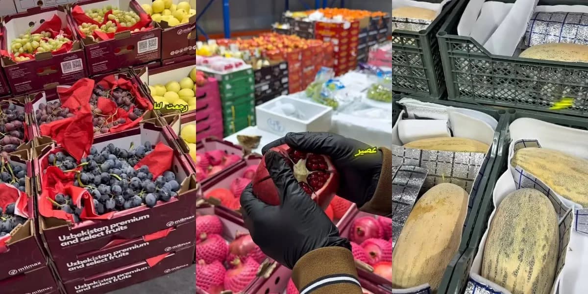 Из Узбекистана в Кувейт экспортирована 1 тонна фруктов