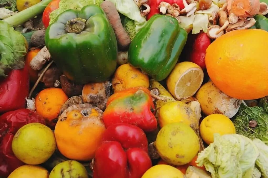 Authorities seize over 130 tons of spoiled food from markets across Uzbekistan