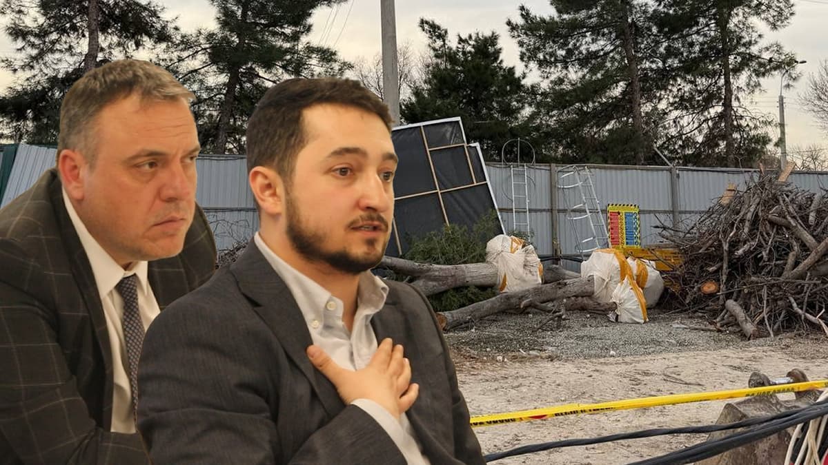 Milliy bog‘da katta qurilish: daraxt kesilgani uchun kim javob beradi?