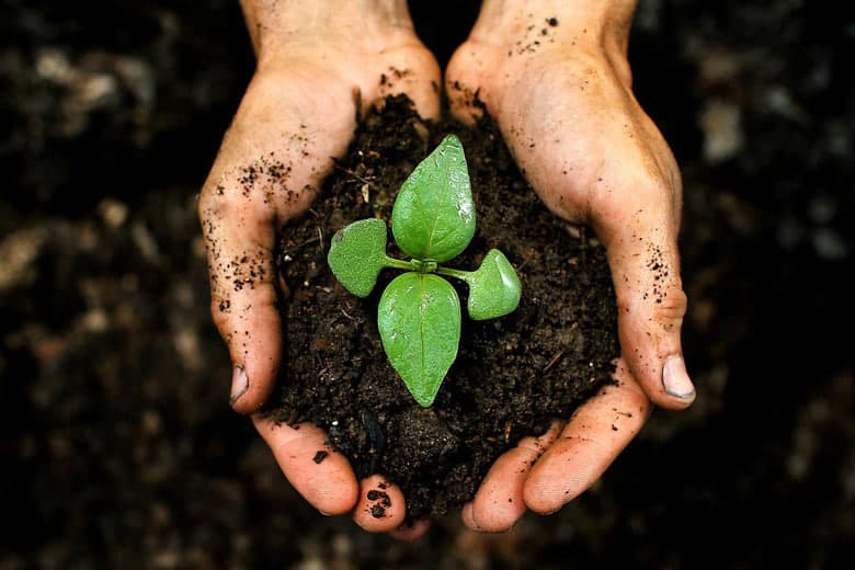 Save Soil harakati O‘zbekiston bilan tuproqni qayta tiklash bo‘yicha hamkorlik qiladi