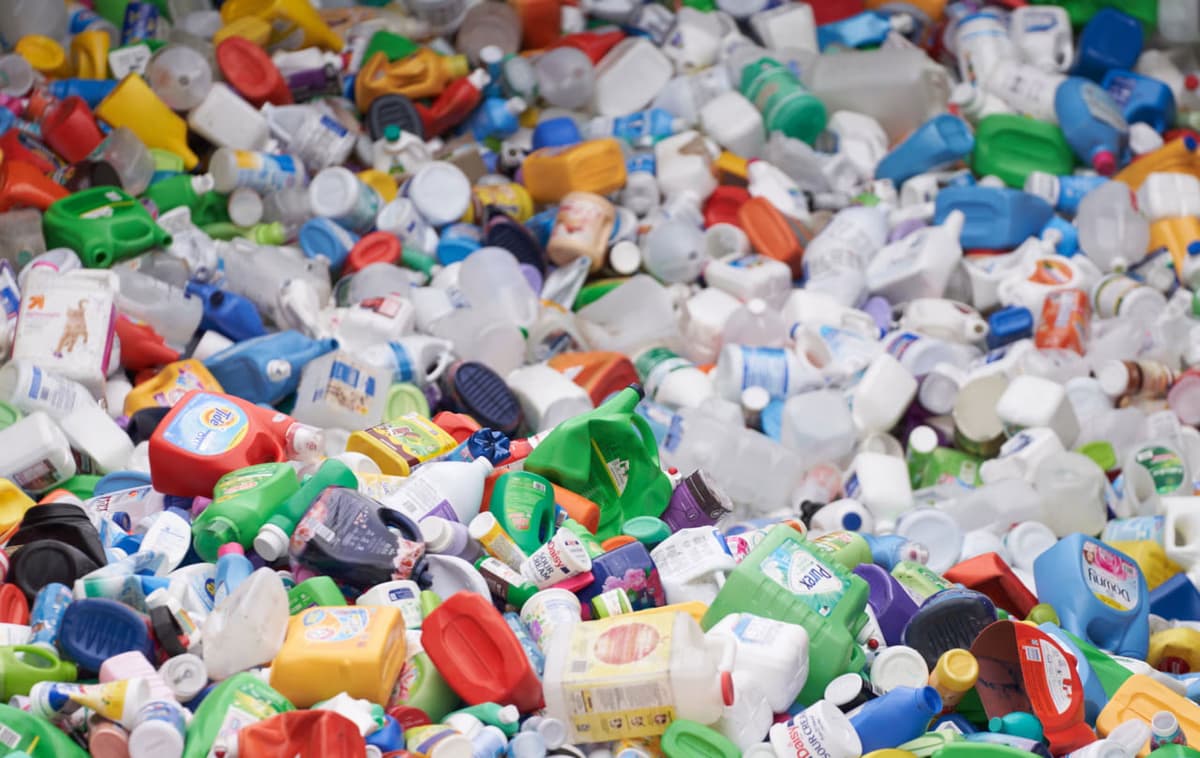 Britaniyalik olimlar ichak tayoqchasini modifikatsiya qilib, plastmassani paratsetamolga aylantirdi