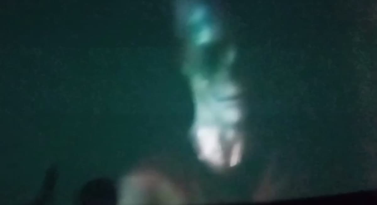 Toshkentda maktab o‘quvchilariga pulga 3D formatda qo‘rqinchli film namoyish qilindi