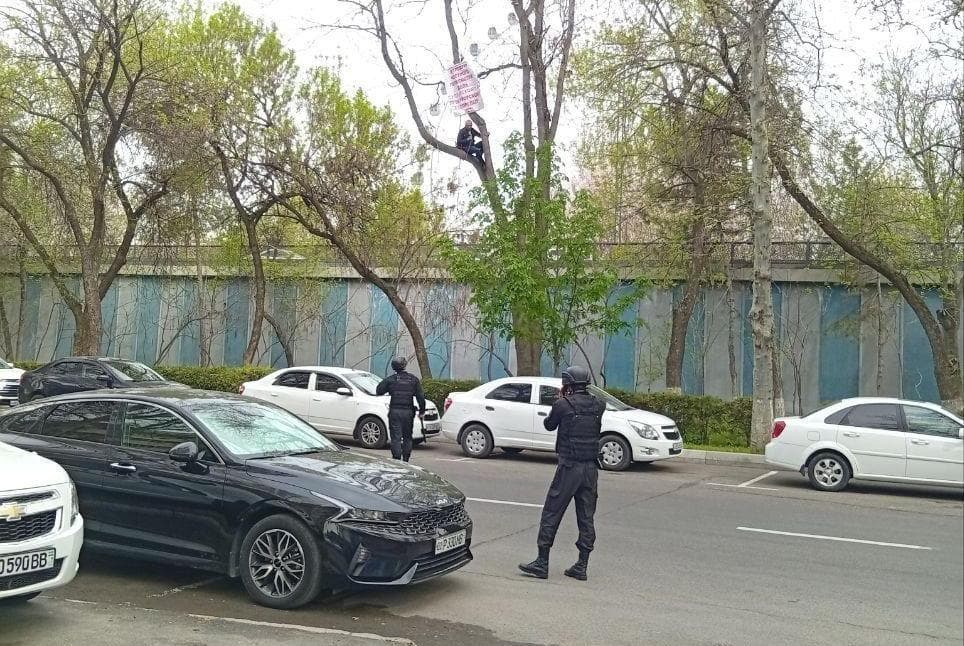 Мужчина, недовольный решениями судов, забрался на дерево напротив Верховного суда
