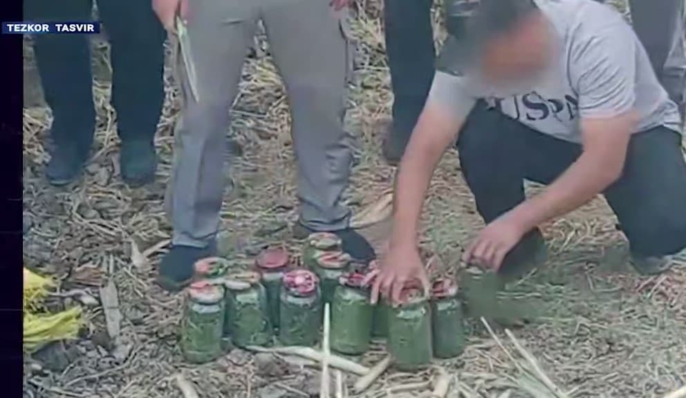 Bo‘stonliqda 5 nafar aka-ukalar xonadonidan 9 kg marixuana topildi