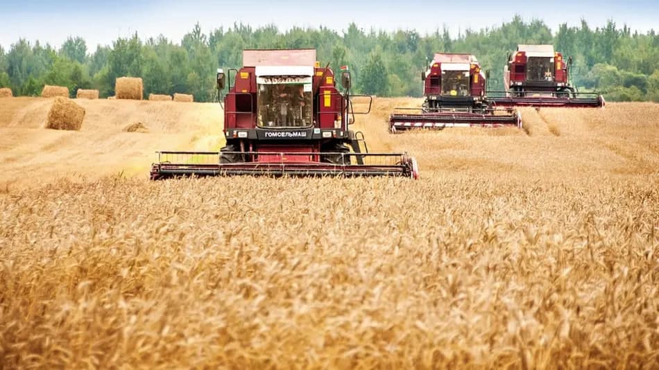 Uzbekistan to lease land in Belarus for livestock farming and export