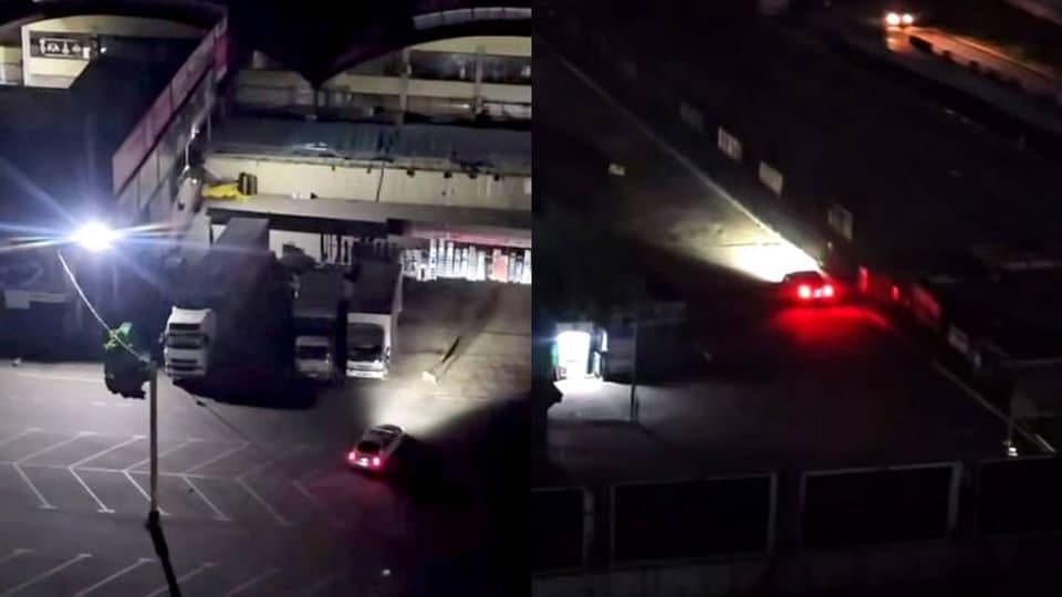 В Ташкенте охранники рынка переехали собак на машине