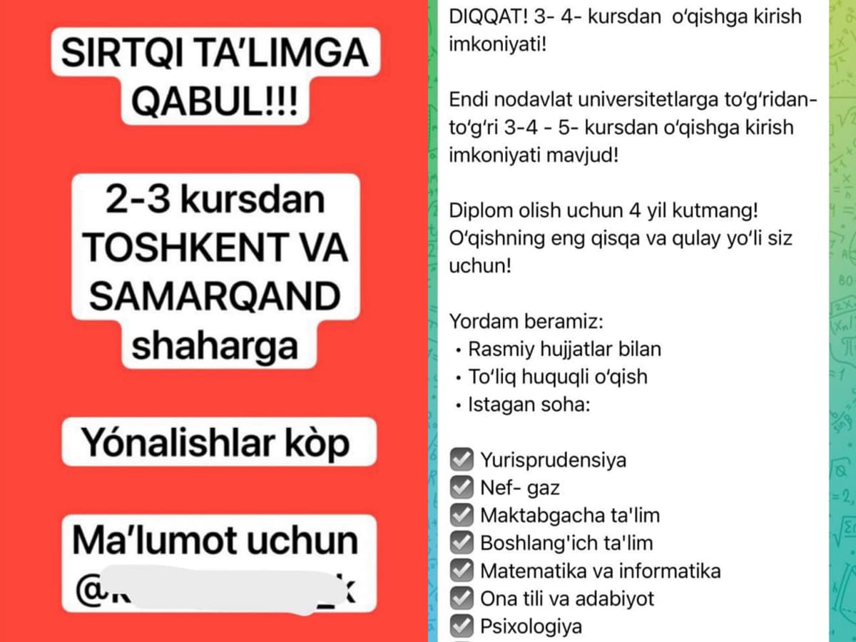 Xususiy universitetlarga sirtqi ta’limga kirishning aylanma yo‘li paydo bo‘ldi