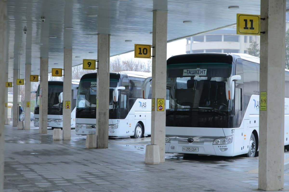Toshkentdan Issiqko‘lga mavsumiy avtobus qatnovlari boshlandi