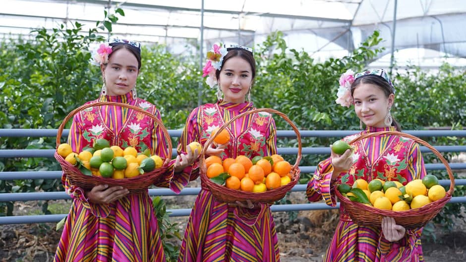 Kattaqo‘rg‘onda limonchilar uchrashuvi bo‘lib o‘tmoqda
