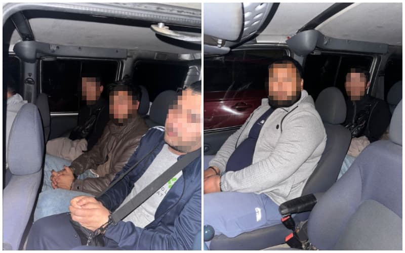 В Петербурге в СИЗО отправлены пятеро граждан Узбекистана по делу о массовой драке