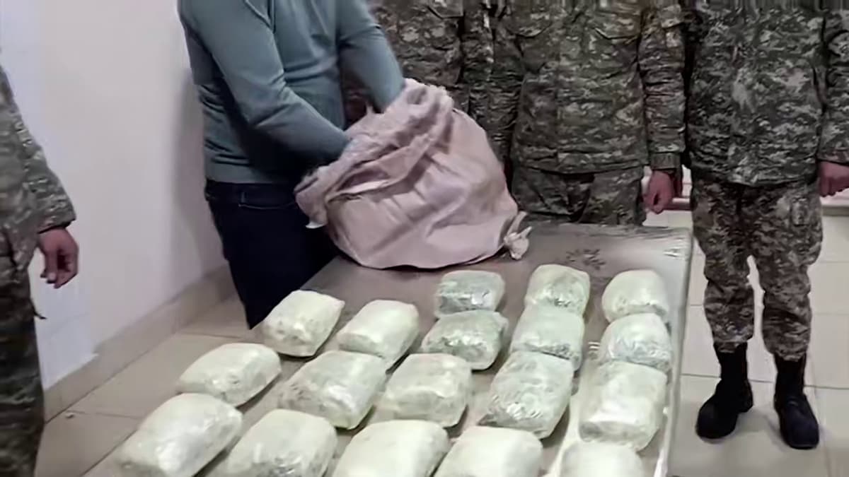 Chegara orqali narkotik tashish bilan shug‘ullangan guruh fosh etildi