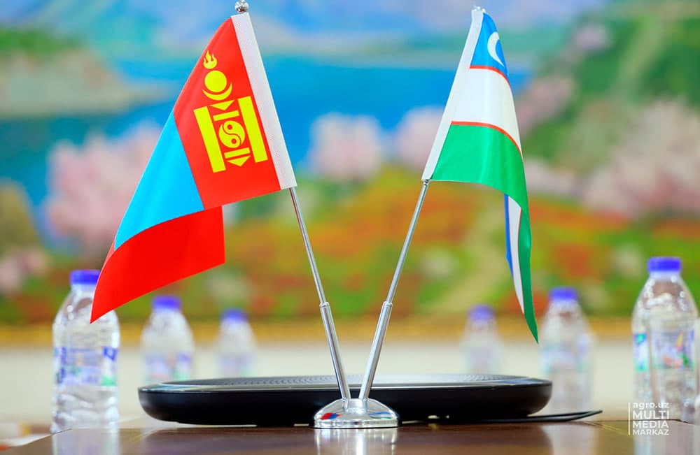 O‘zbekiston va Mo‘g‘uliston o‘rtasida transport qatnovi to‘g‘risidagi bitimlar tasdiqlandi
