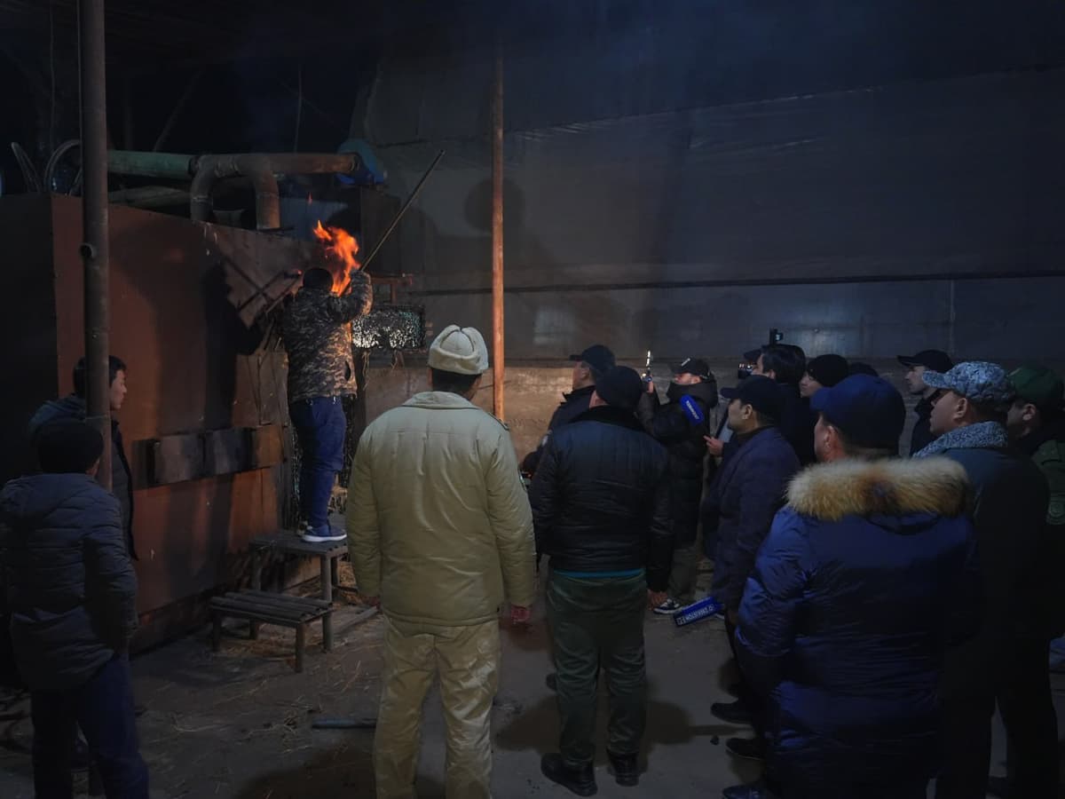 Toshkent tumanida 22 ta mahalladagi issiqxonalarda ekologik qoidalar buzilishi aniqlandi
