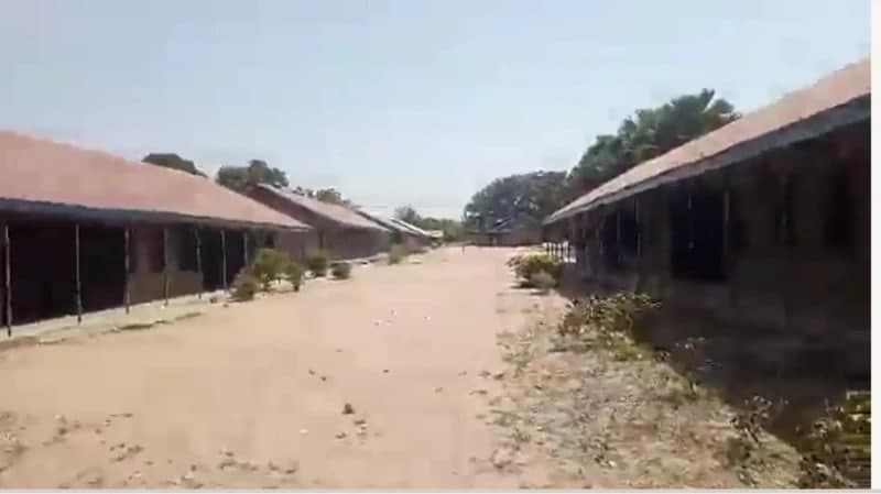 Nigeriyada jangarilar 300 dan ortiq bolani o‘g‘irlab ketdi