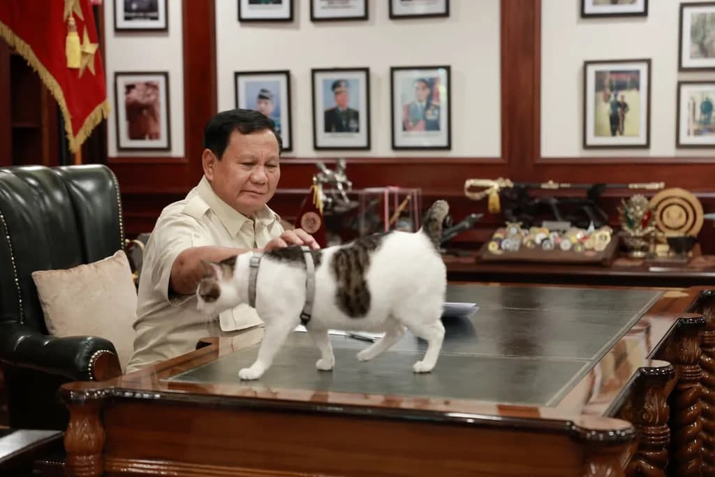 Indoneziyada prezident mushugiga qo‘riqchi tayinlanishi ortidan mojaro kelib chiqdi