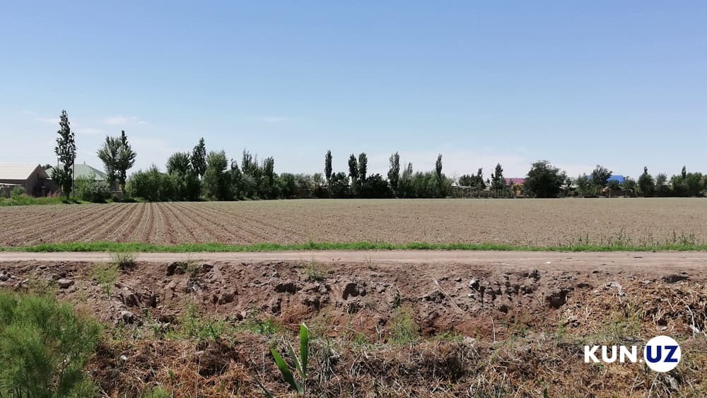 Yerlar toifasini o‘zgartirish tartibi belgilandi