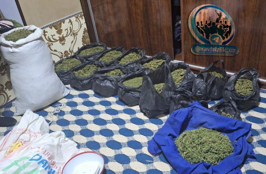 Qashqadaryoda fuqaroning uyidan 20 kilodan ortiq marixuana musodara qilindi