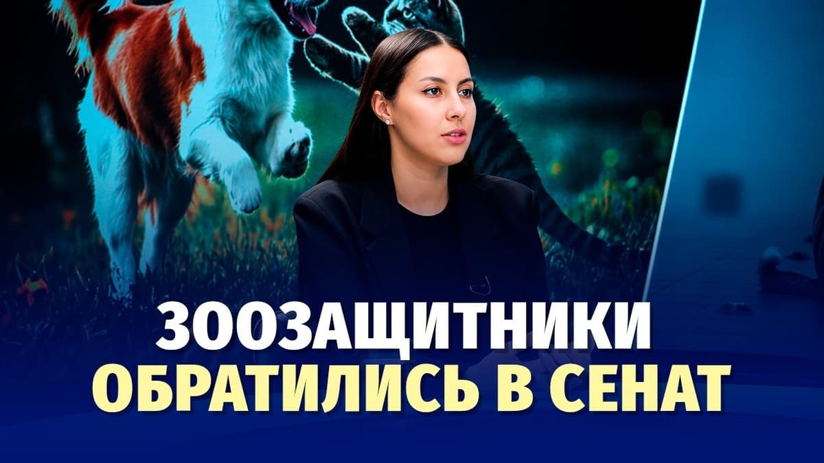 В Узбекистане готовят закон о защите животных