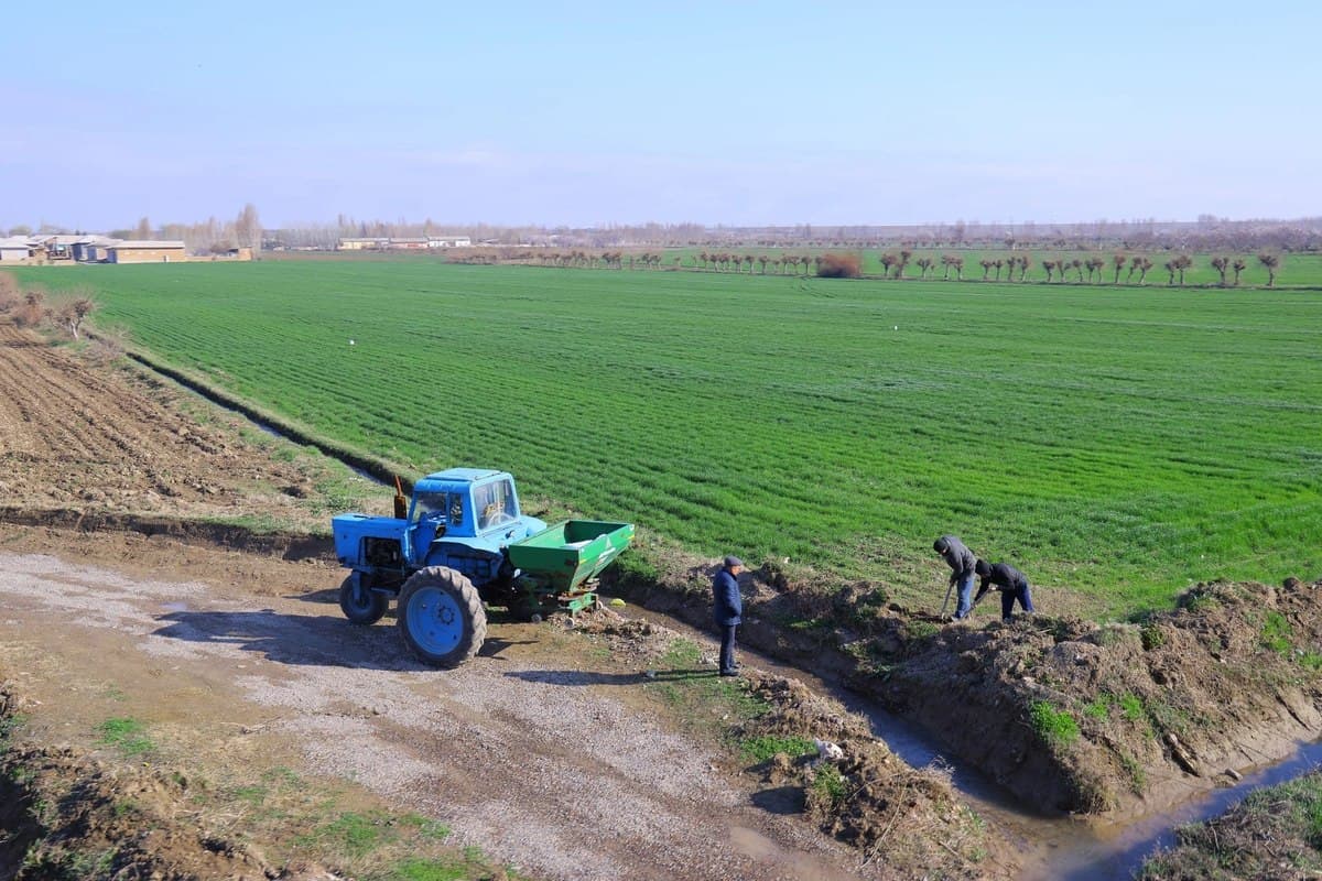 Uzbekistan bans direct agricultural land leases for foreign entities