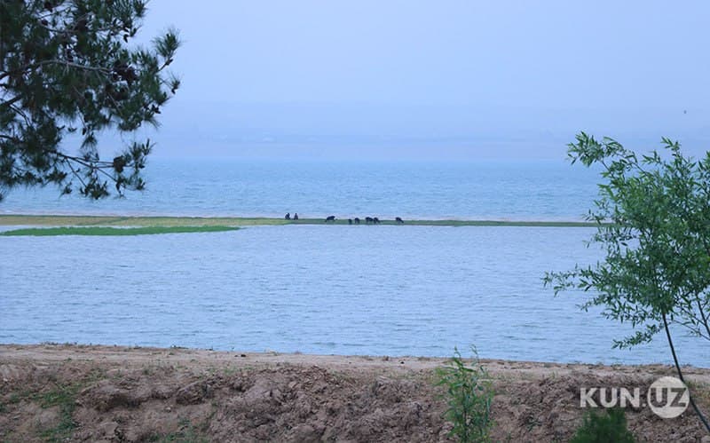 Syrdarya to launch construction of major reservoir to boost agricultural output