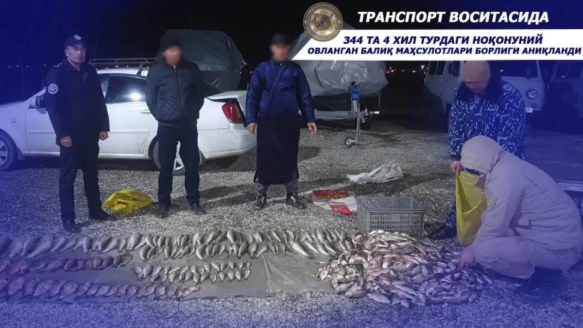 Айдар–Арнасойда табиатга салкам 400 млн сўм зарар етказган фуқаролар ушланди