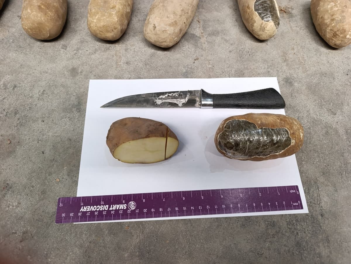Afg‘onistondan kartoshka ko‘rinishida olib o‘tilayotgan 72 kg gashish fosh qilindi