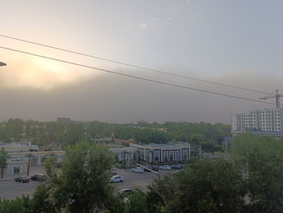 Toshkentda kuchli dovul kuzatildi